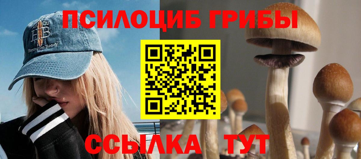 Псилоцибиновые грибы ЛСД  Вход с VPN  Заринск  Галлюциногенные грибы прущие грибы 